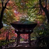 Autumn temple gate☆