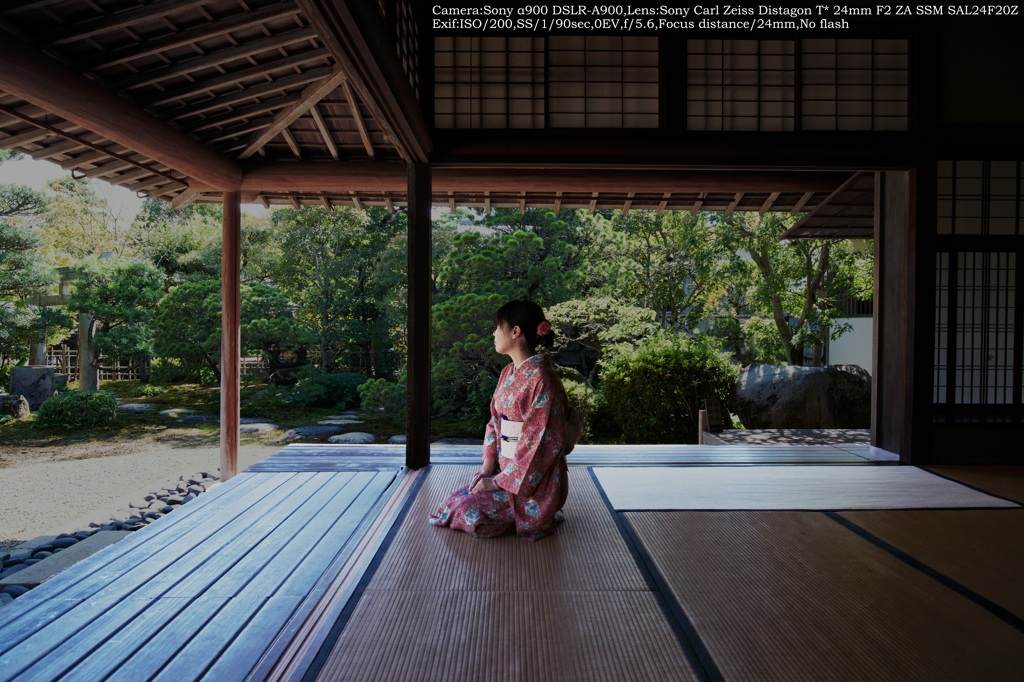KIMONO week in Hagi☆