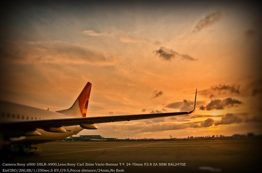 Evening sun in Haneda Airpot Ver.1.2☆