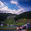 Stone wall rice field☆