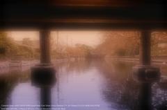 The under of Yanagawa's bridge☆