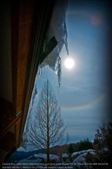 The sun and icicle☆