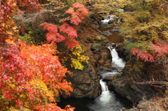 秋色に染まる滝