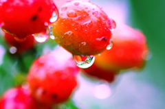 a drop of cherry