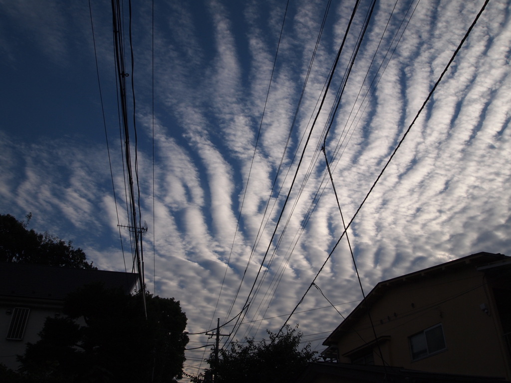 さば雲