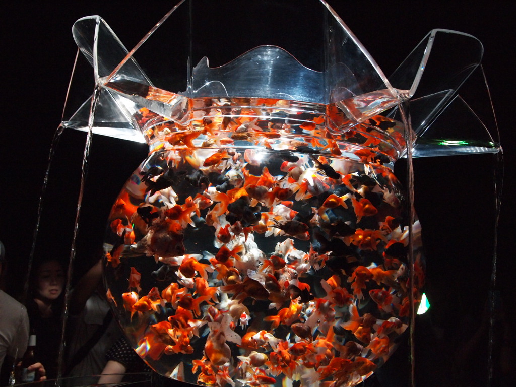 アートアクアリウム展2012