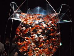 アートアクアリウム展2012