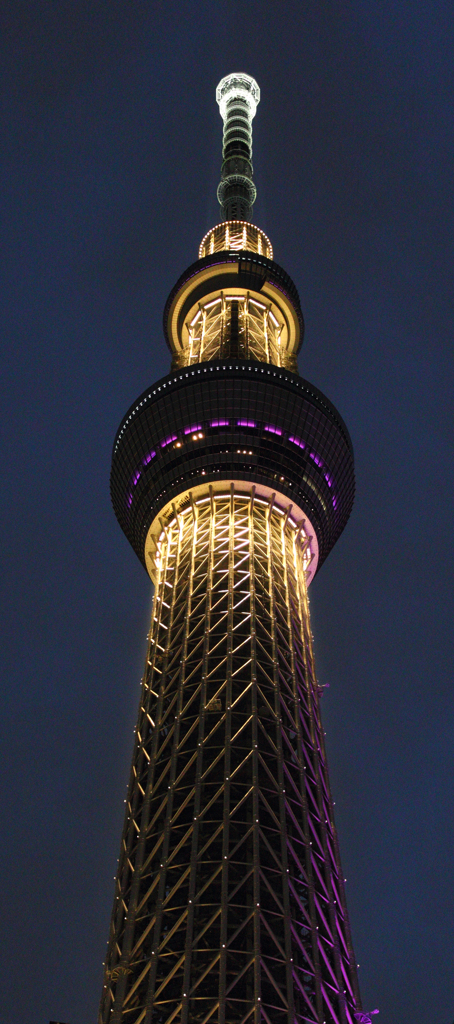 雅