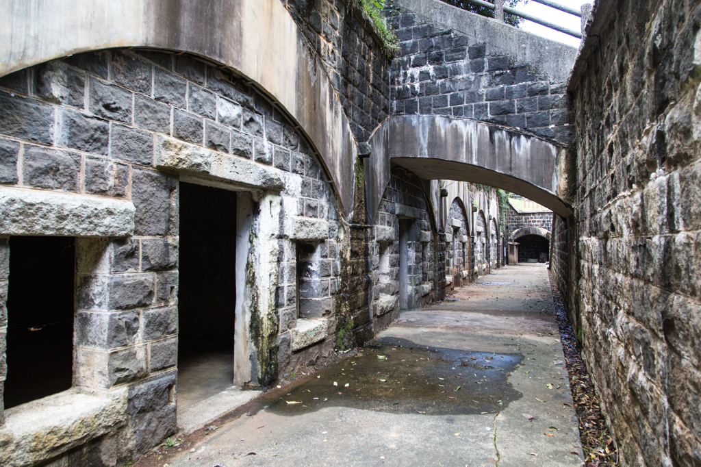 fortify (2)