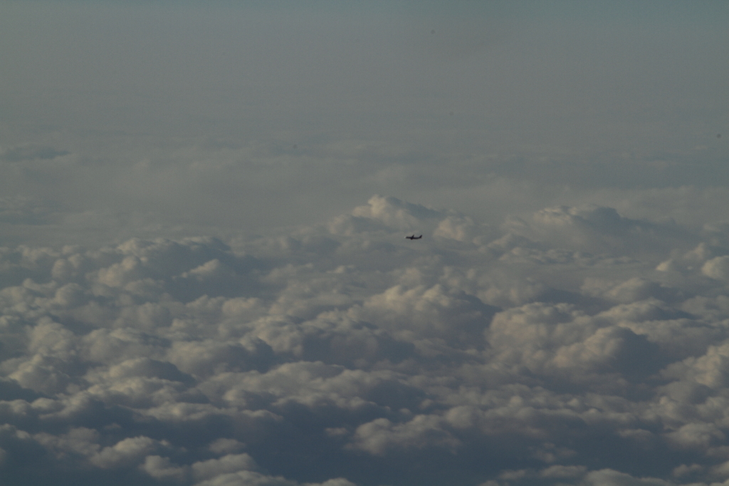 この広い大空で...