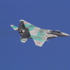 蒼空のアグレッサー