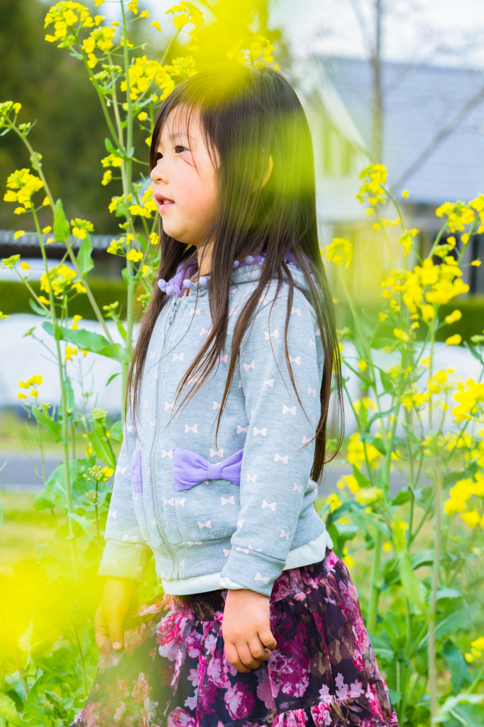−Untitled−