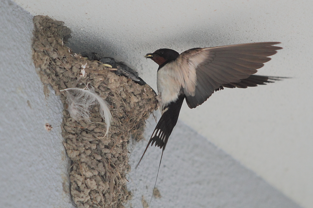 親の心　子知らず