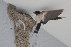 親の心　子知らず