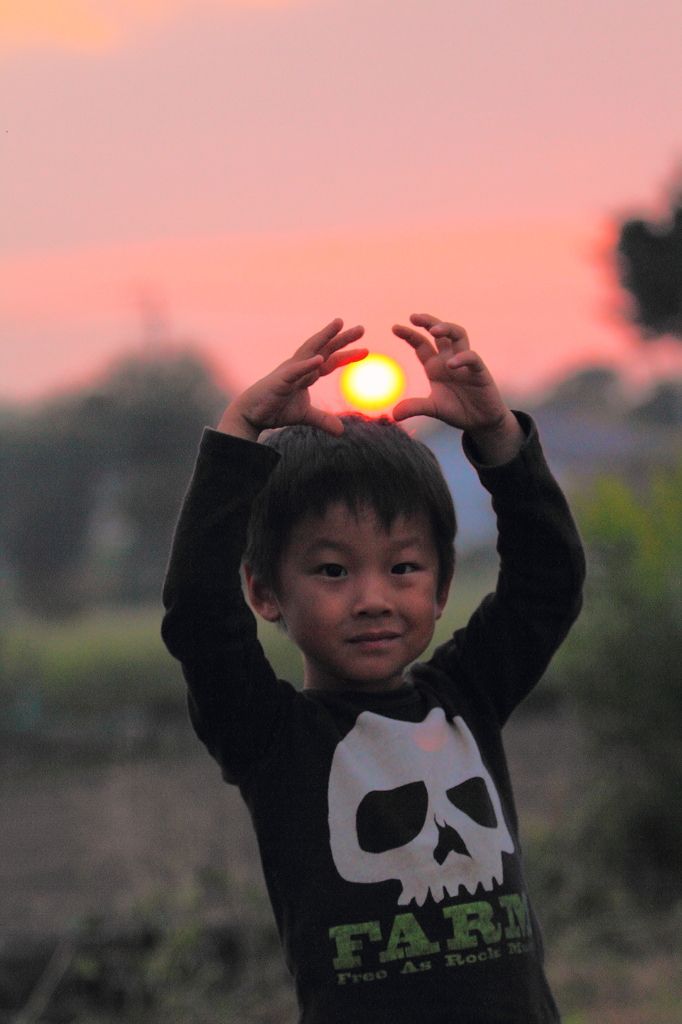 太陽を掴む者