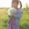 a bouquet of dandelion Vol.2