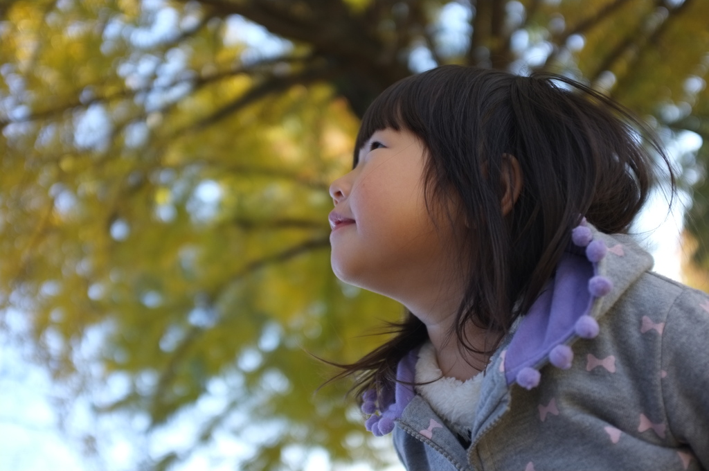 見上げてごらん