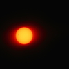 The Transit of Venus（簡易ﾊﾞｰｼﾞｮﾝ