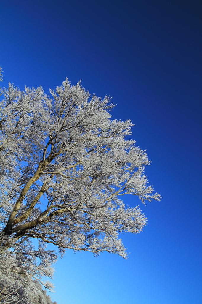 Soft Rime