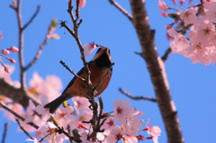 愛をこめて花束を…