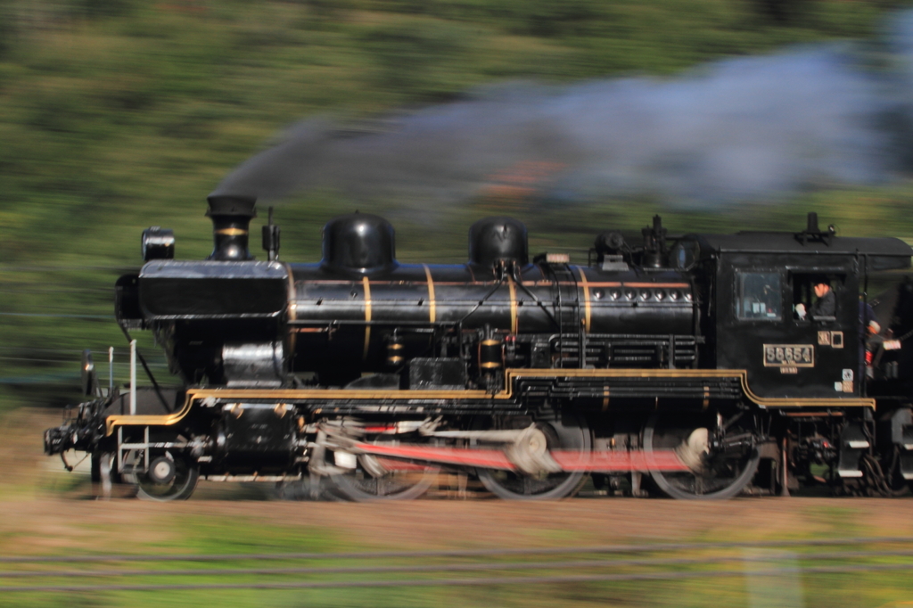 今年　最後の流し撮り