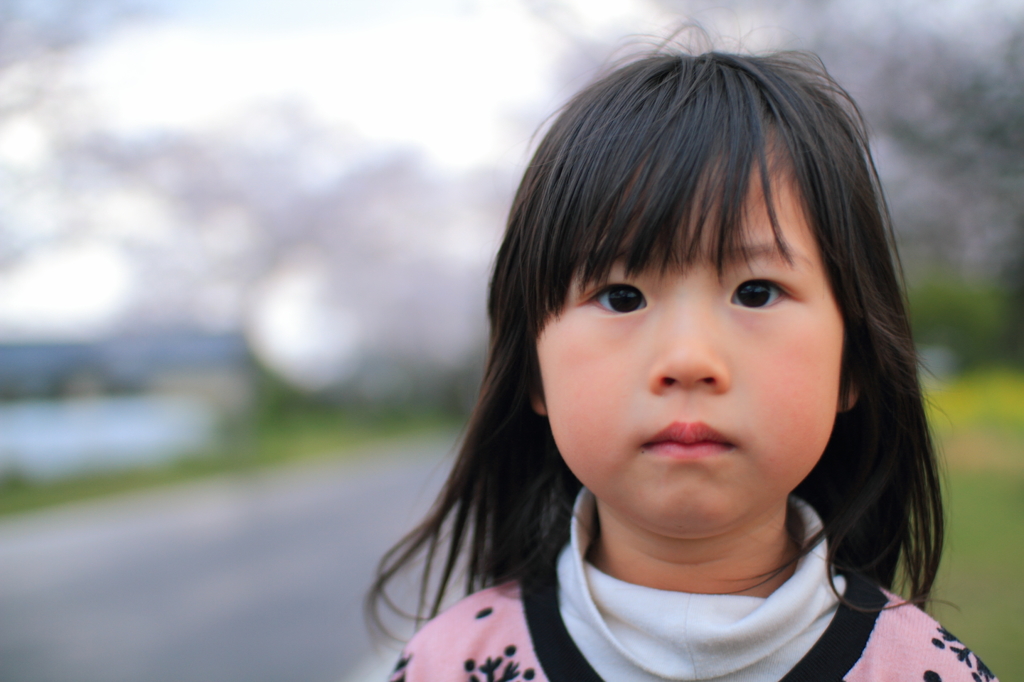 桜が咲く頃に