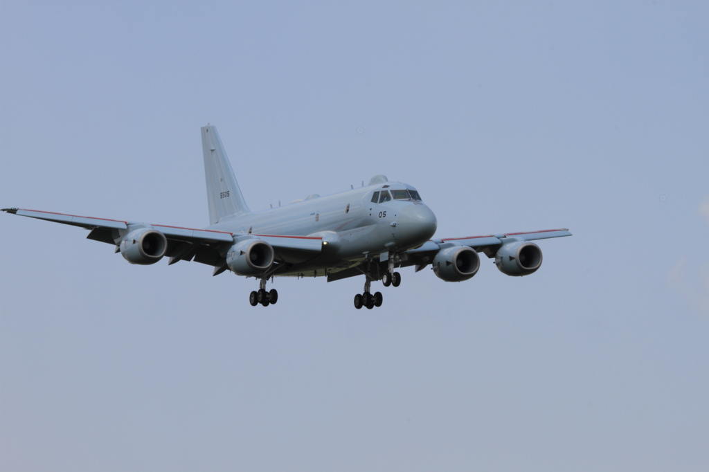 P-1