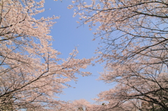青空の下