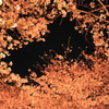 夜桜