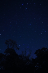 森の先の星空