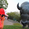 睨めっこ
