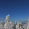 樹氷