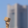 ダンボーとランドマーク
