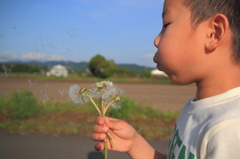 春の息吹