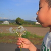 春の息吹