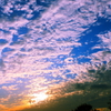 夕焼け