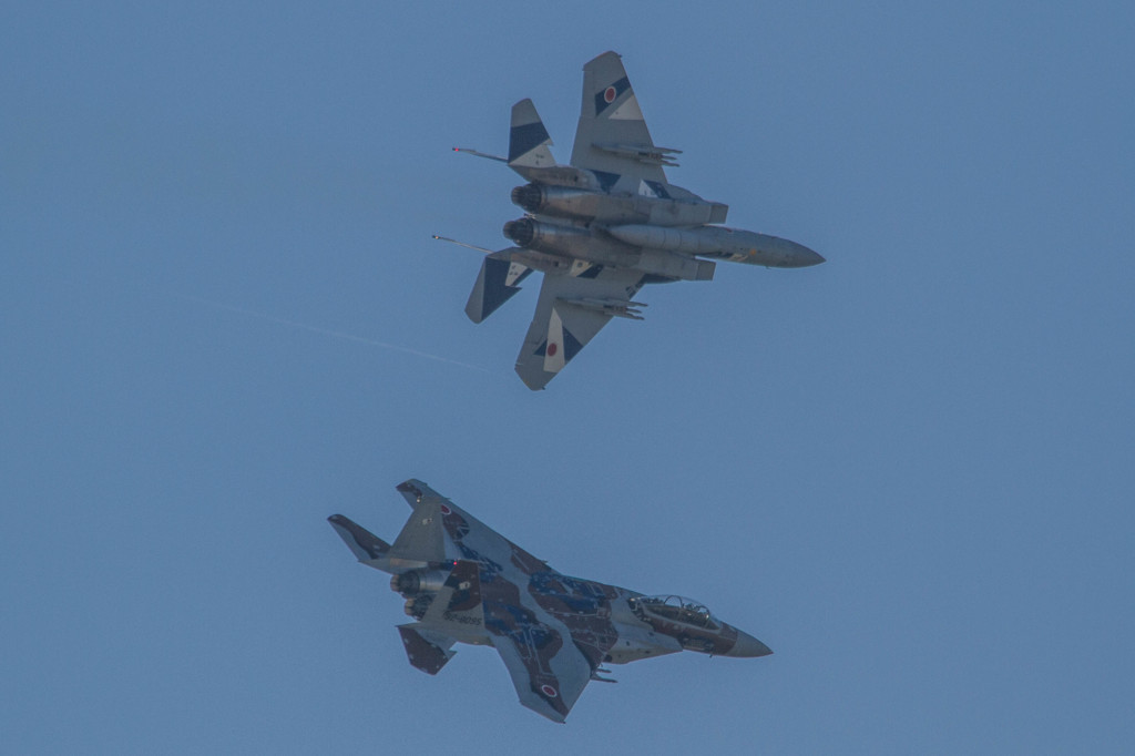 アグレッサー機動