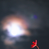 ツキトコスモス
