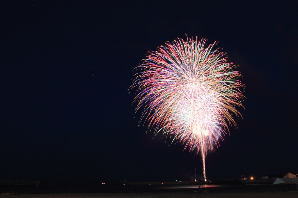 夏の華 Vol.5