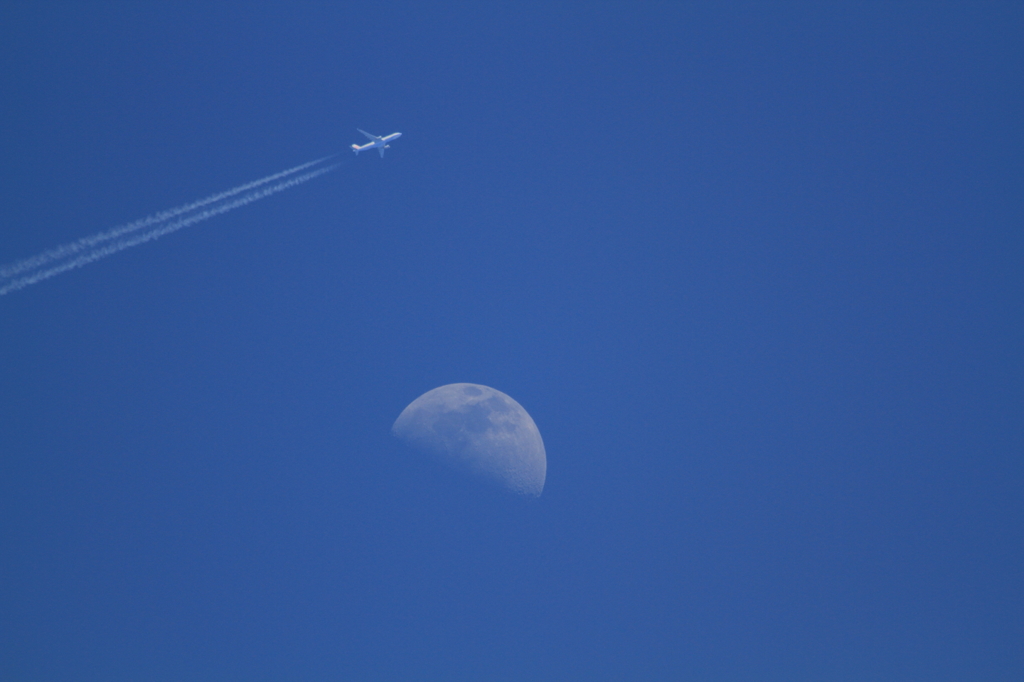 Fly me to the moon