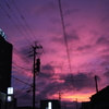 紫の夕焼け