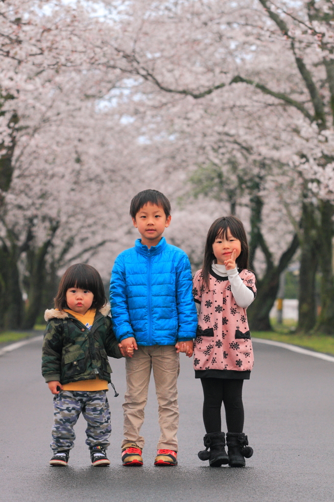 桜並木と子供たち