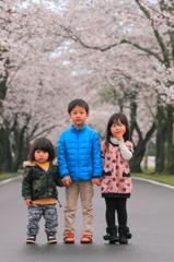 桜並木と子供たち