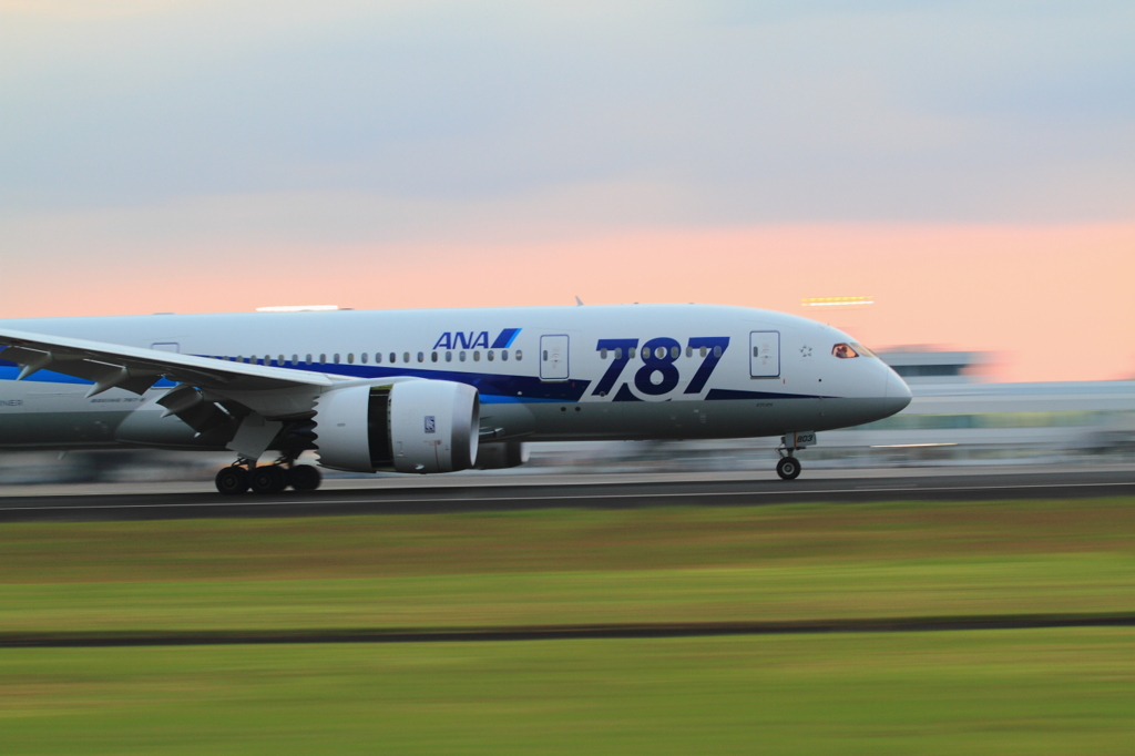 ANA 787