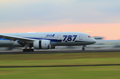 ANA 787