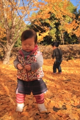 それぞれの秋探し