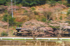 桜とSL人吉