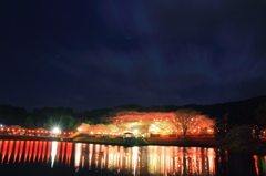 夜桜
