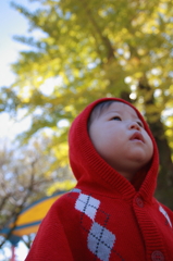 黄昏