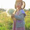 a bouquet of dandelion